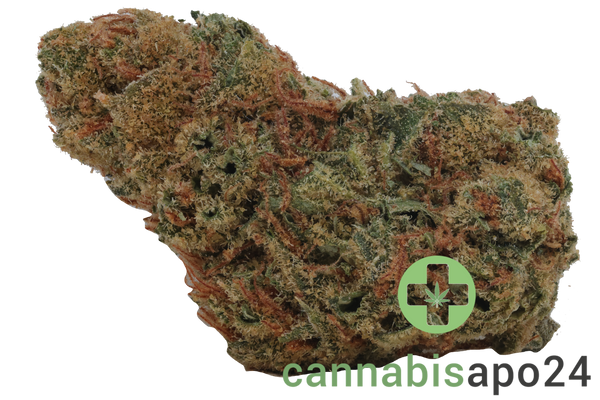Cannamedical Sativa Classic SA Jack Herer