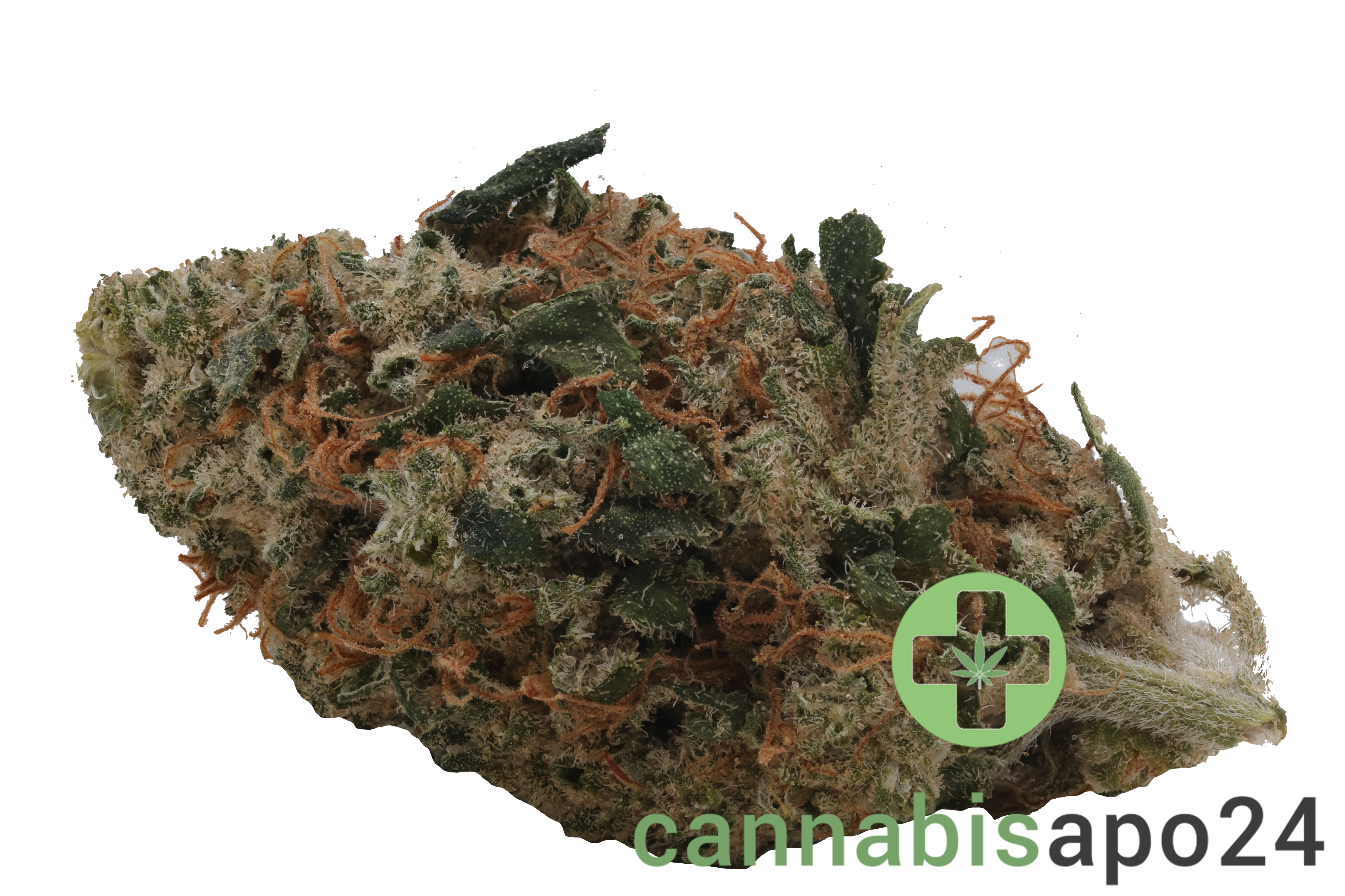 Cannamedical Sativa Forte DK Super Lemon Haze