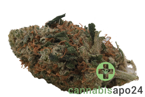 Cannamedical Sativa Forte DK Super Lemon Haze