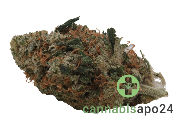 Cannamedical Sativa Forte DK Super Lemon Haze