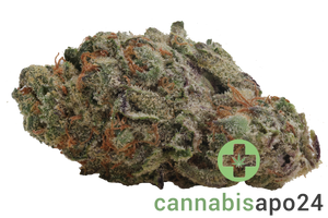 Cannamedical Sativa ultra ES Orange Creampop