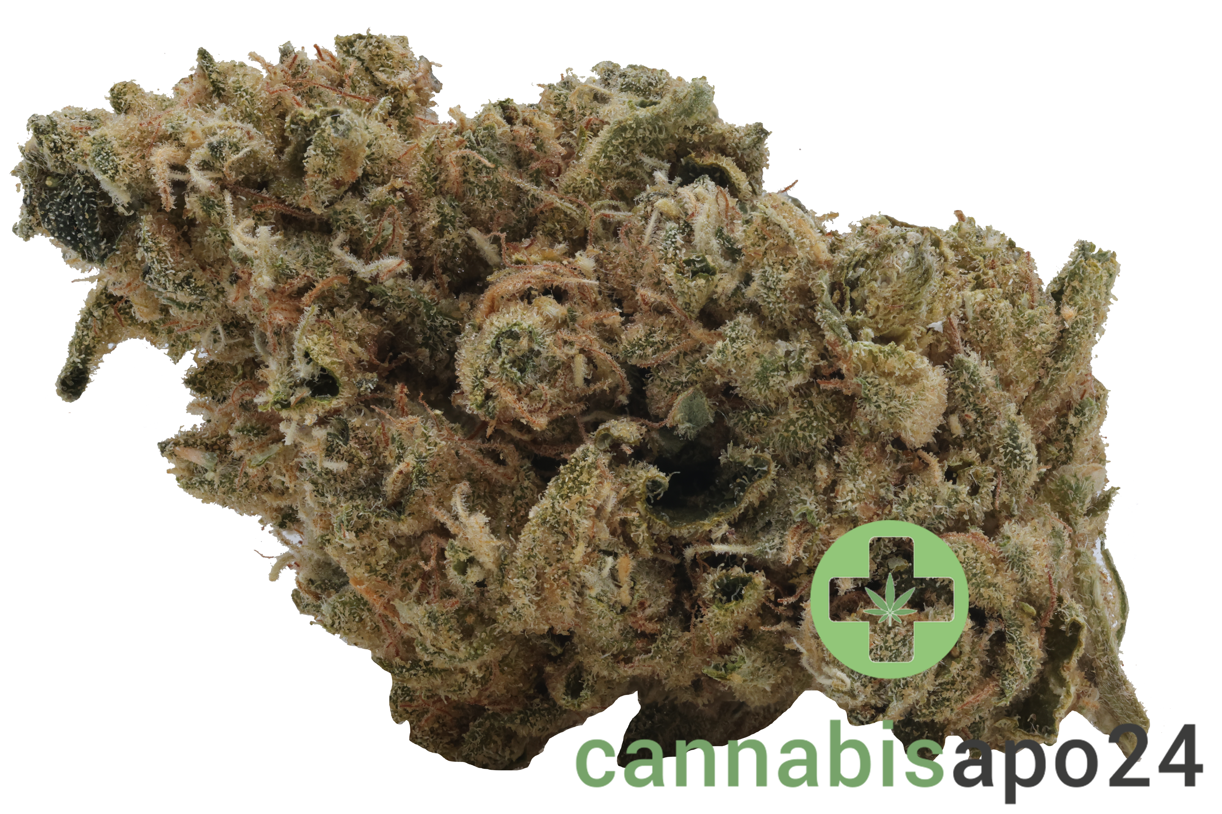 CannGo 26/1 WG Vegas Wedding Cake