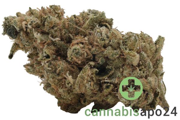 CannGo 26/1 WG Vegas Wedding Cake