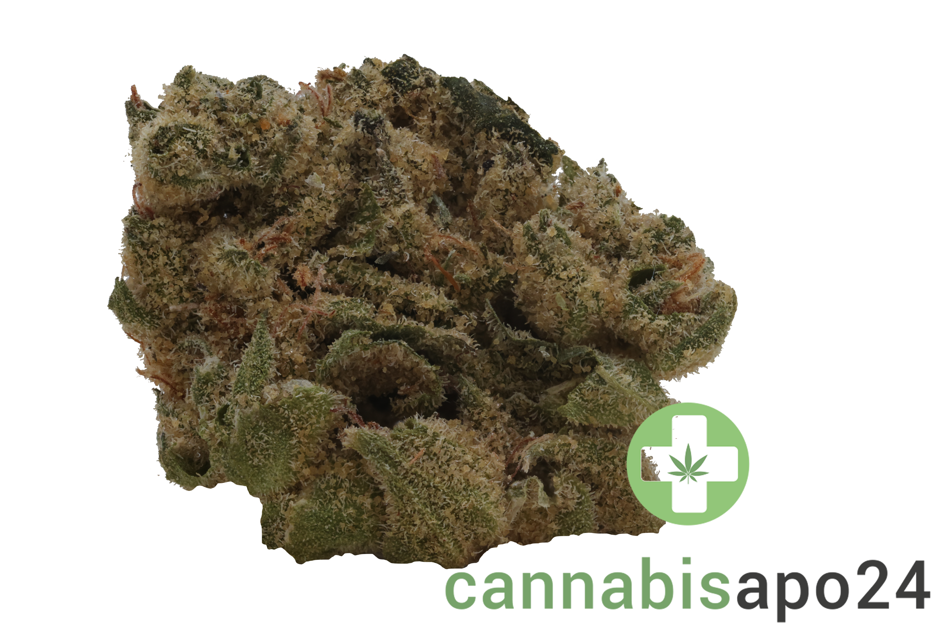 CannGo 32/1 CR Diesel Chem