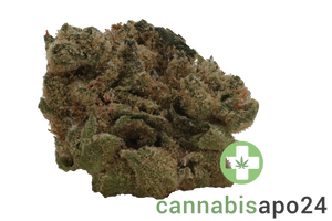 CannGo 32/1 CR Diesel Chem