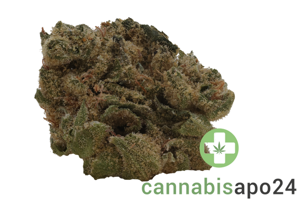 CannGo 32/1 CR Diesel Chem