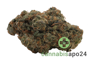 Apex GEP-PT 29 Gelato Poison