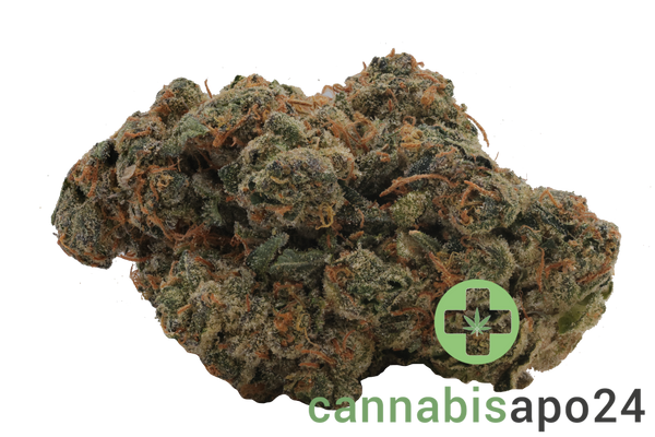 Apex GEP-PT 29 Gelato Poison