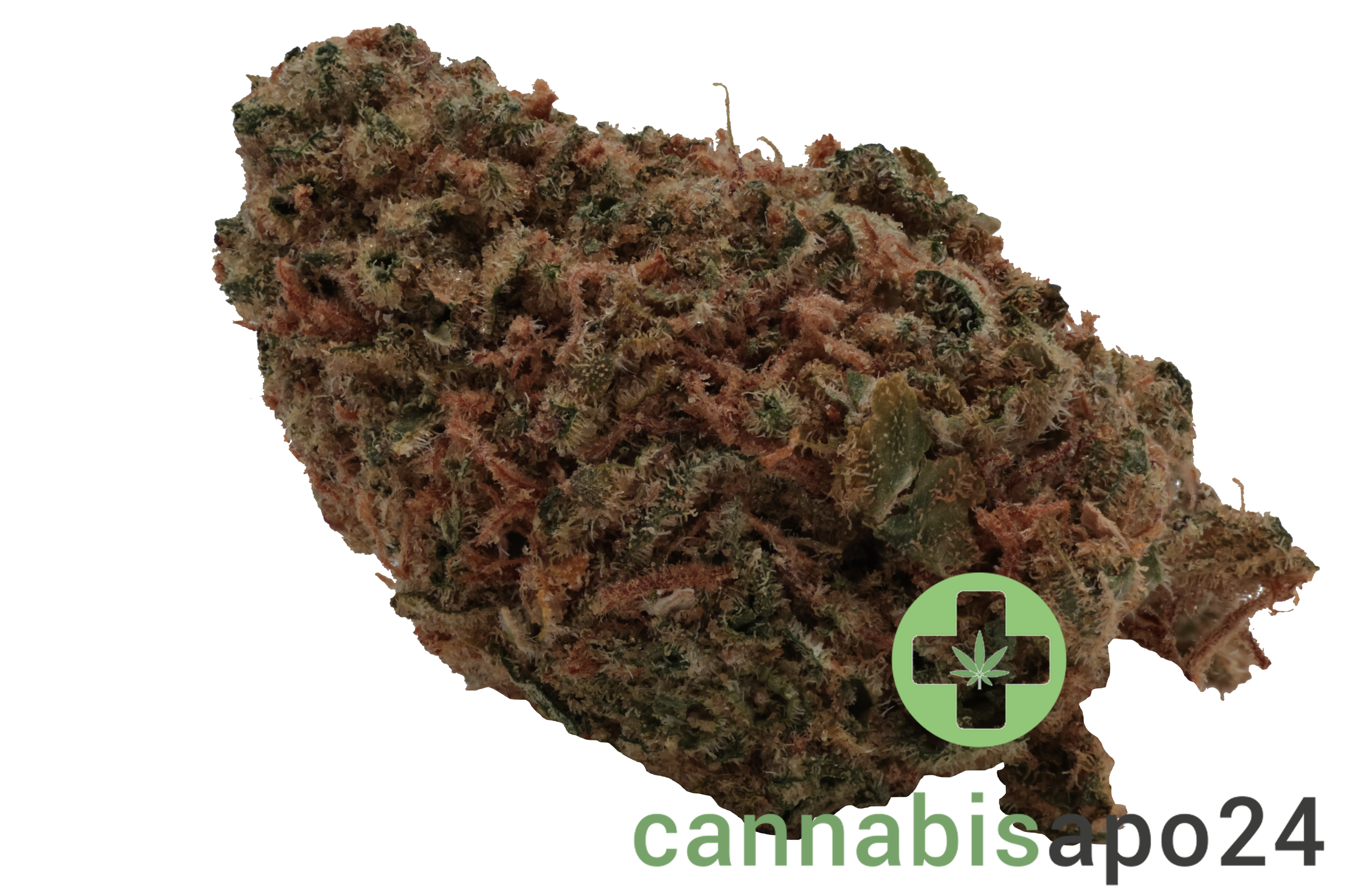 Cannovum Natura KHZ-PT 28 - Karel's Haze