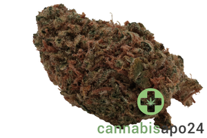 Cannovum Natura KHZ-PT 28 - Karel's Haze