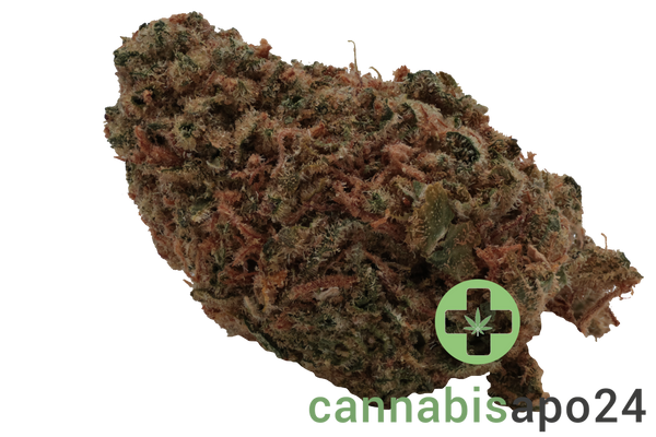 Cannovum Natura KHZ-PT 28 - Karel's Haze