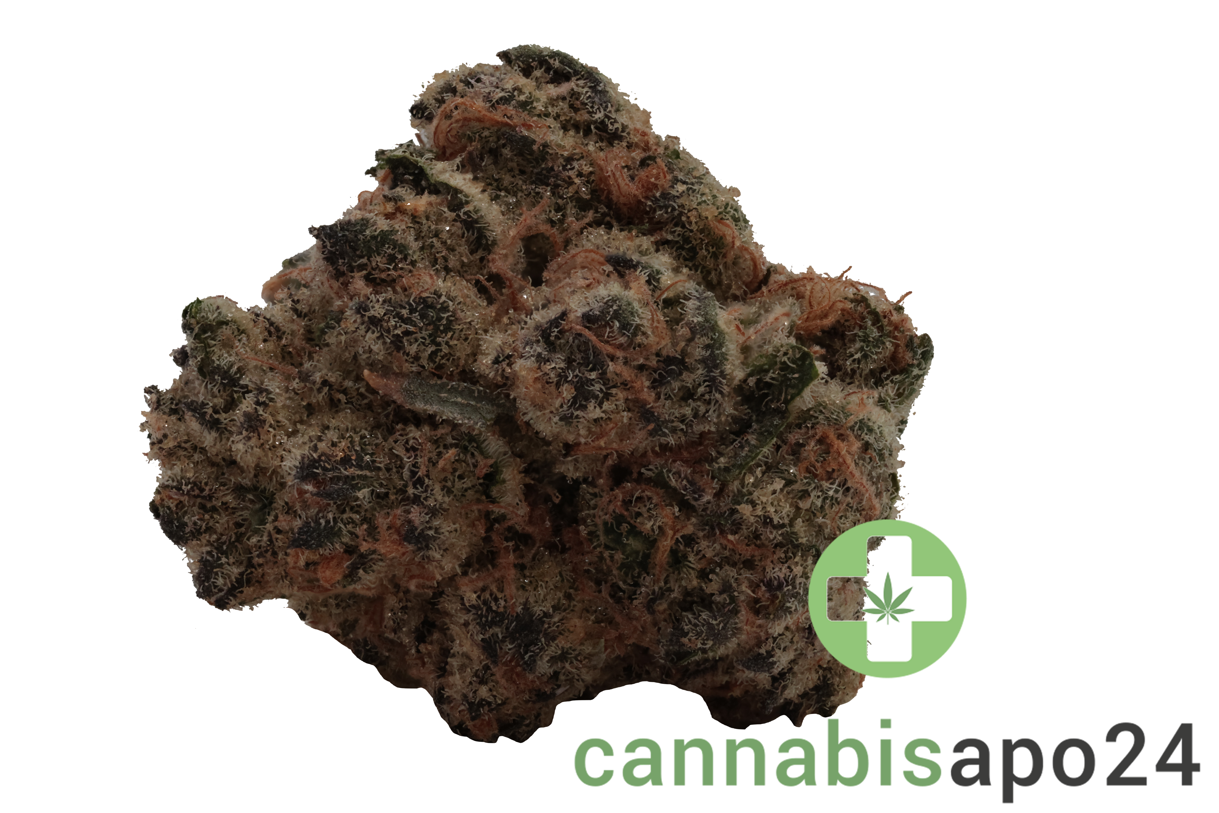 30/1 MGF SNL Honey Suckle