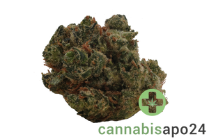 Canopy AKH 25