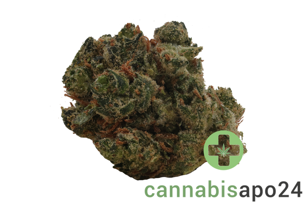 Canopy AKH 25