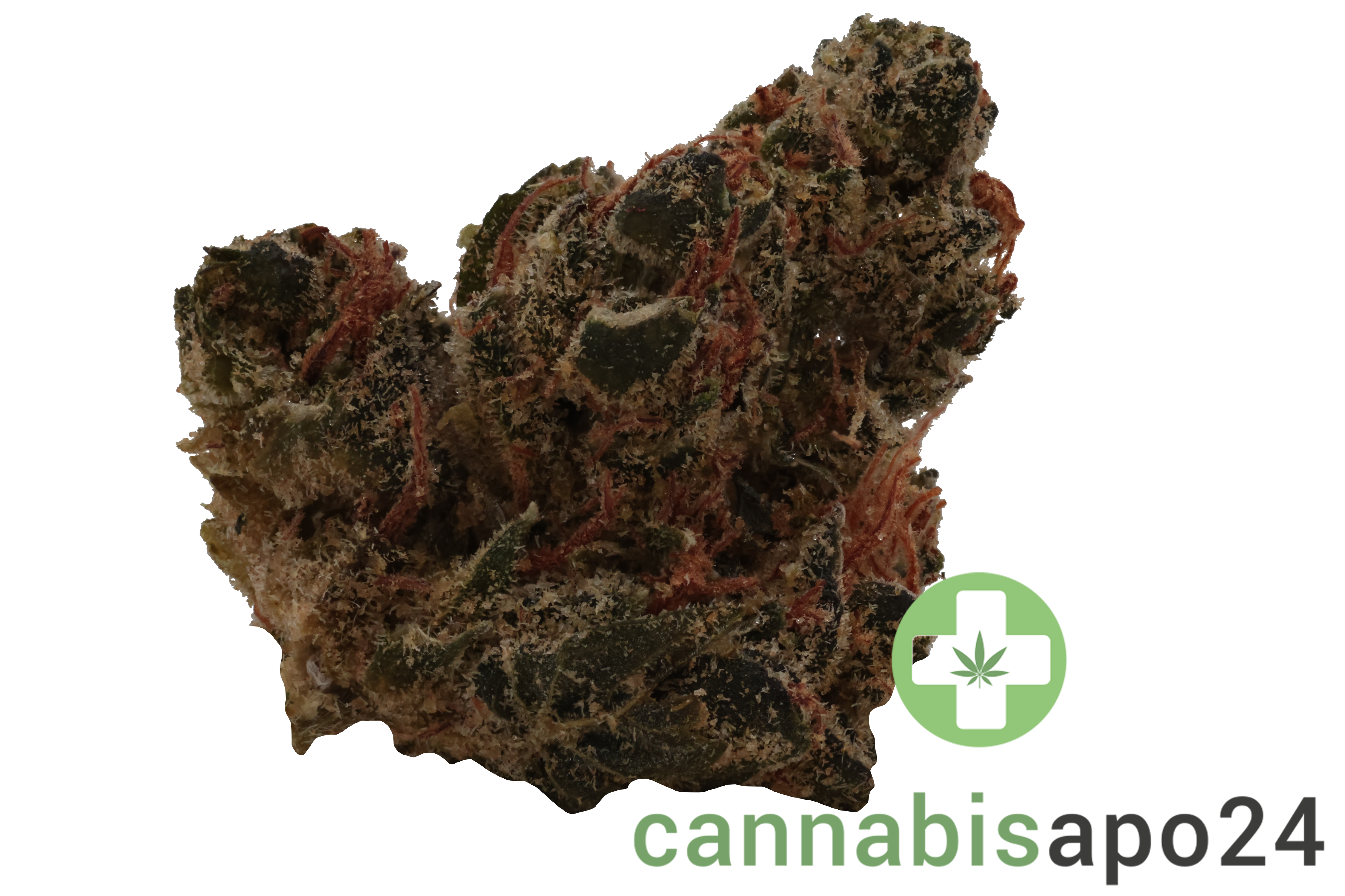 Canopy AKH 26