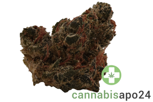 Canopy AKH 26
