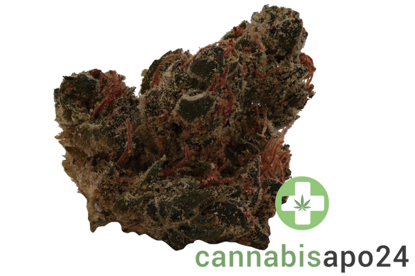 Canopy AKH 26