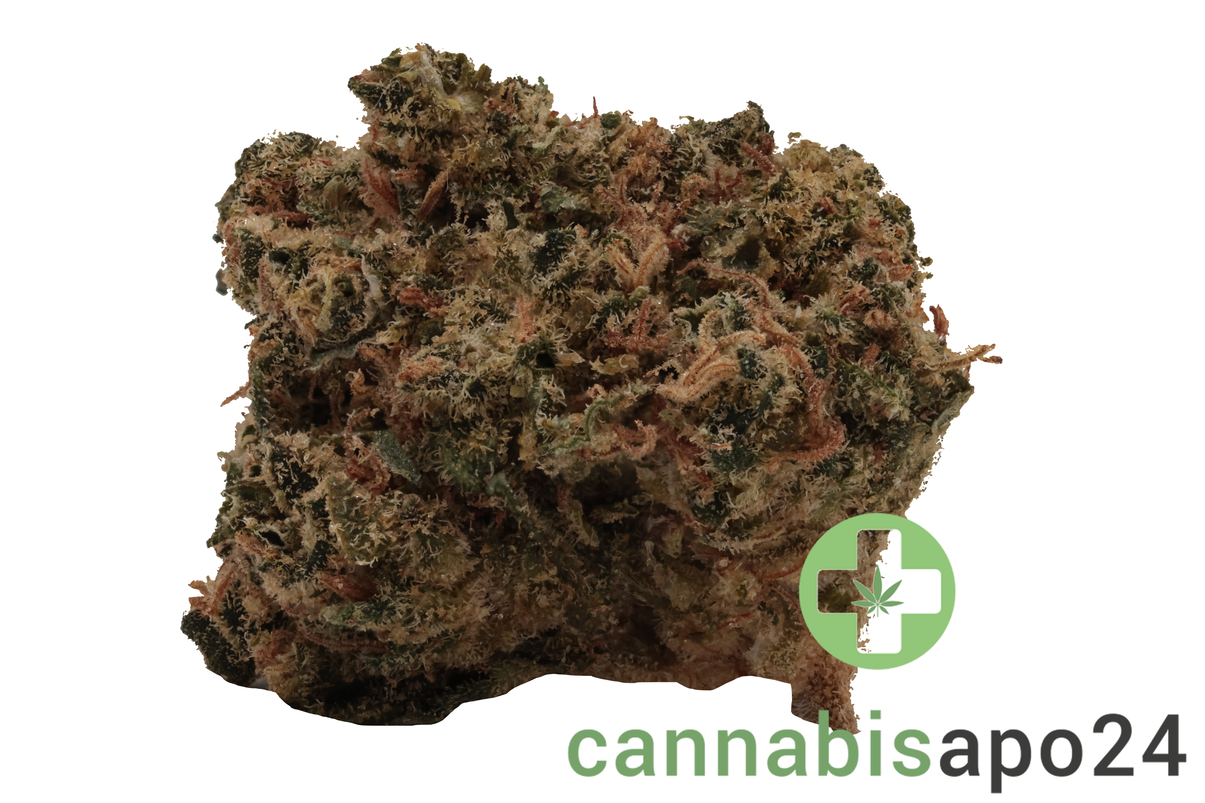 Canopy JHA 19 Jack Haze