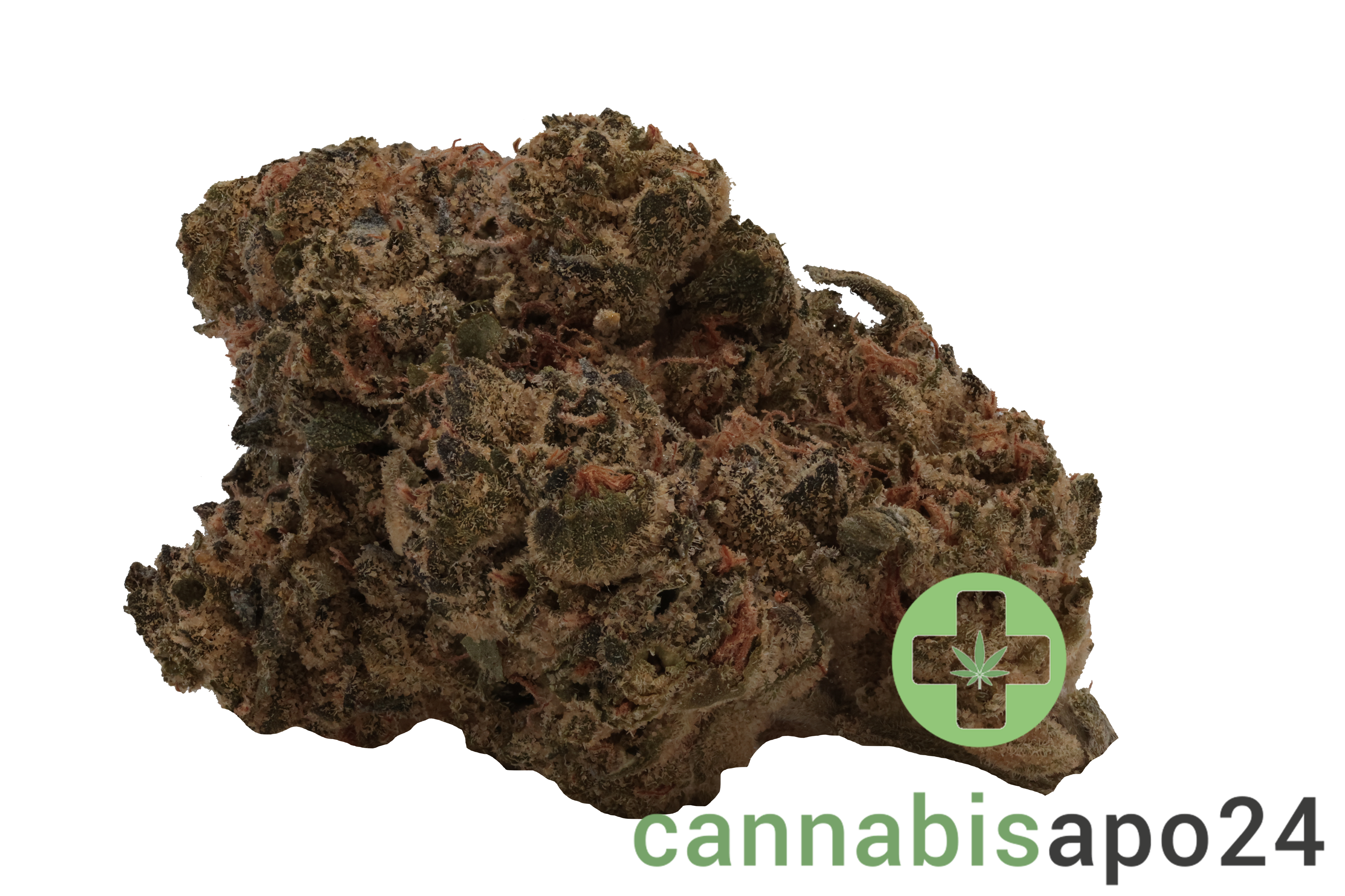 Canopy KMI 30 Kush Mints