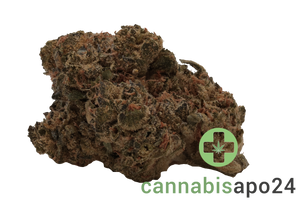 Canopy KMI 30 Kush Mints