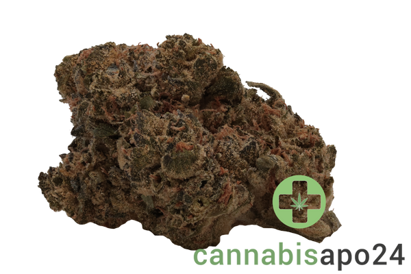 Canopy KMI 30 Kush Mints