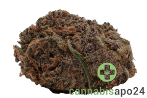 Lahoja ACSMC - Pink Slurricane