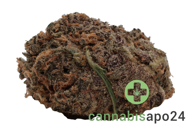 Lahoja ACSMC - Pink Slurricane