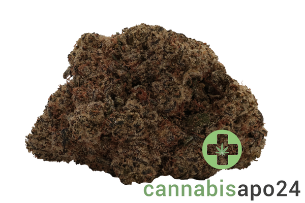 LOT 420 GLOC 30/1 Gelato x Orange Cake