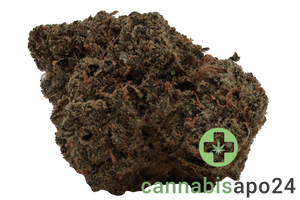 Truth Holdings LH - Liberty Haze