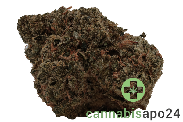 Truth Holdings LH - Liberty Haze