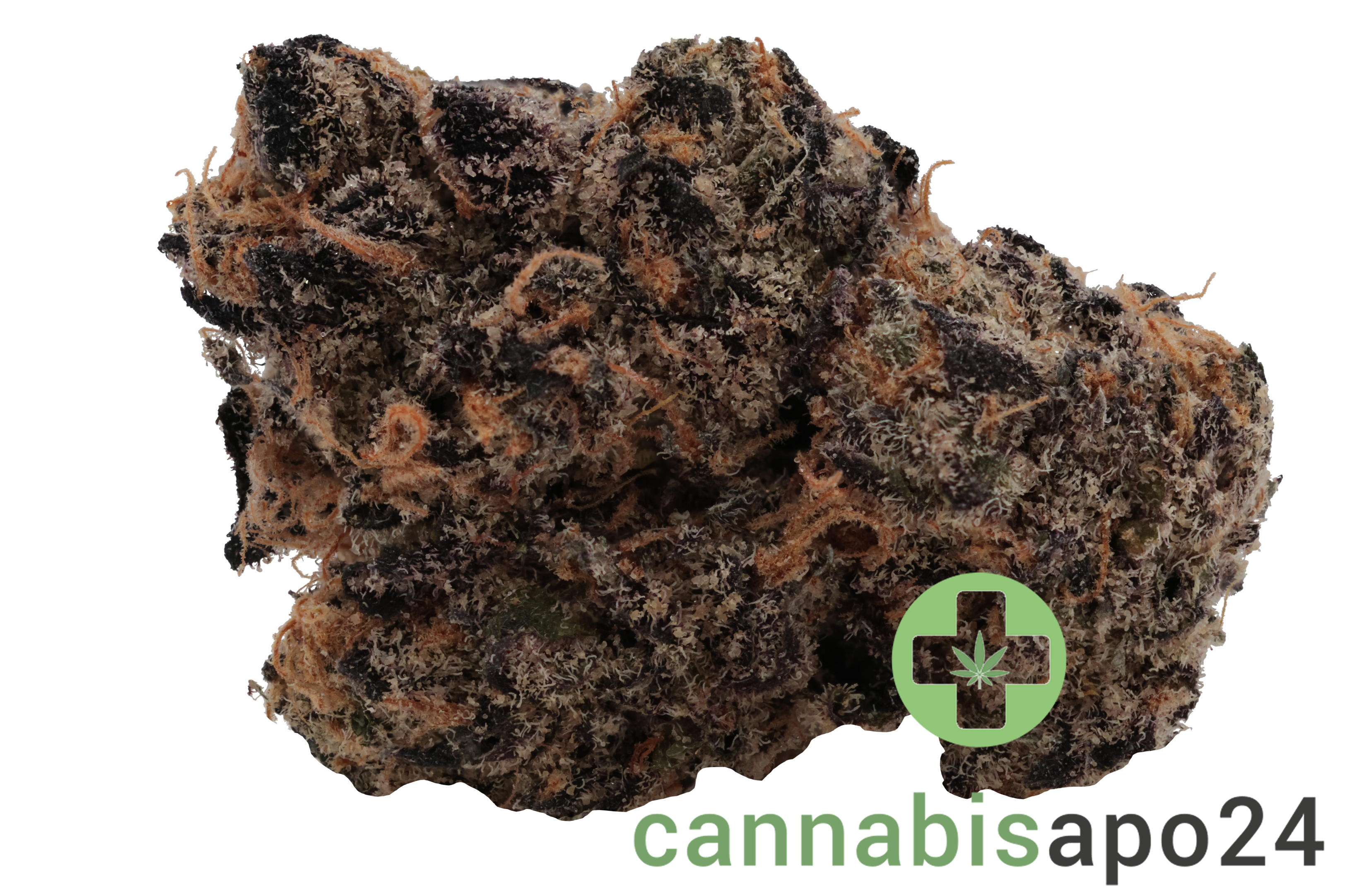 Cookies CM 26/1 Cereal Milk