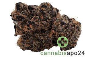 Cookies CM 26/1 Cereal Milk