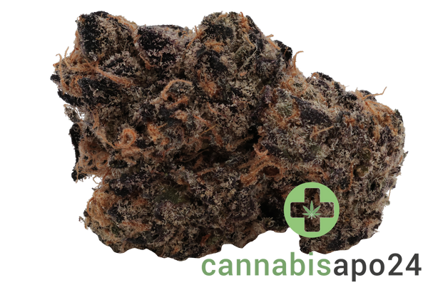 Cookies CM 26/1 Cereal Milk