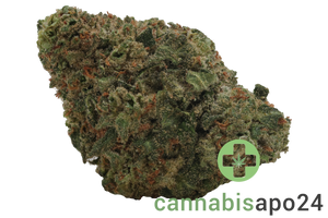 CM 28/1 BRY - Strawberry OG