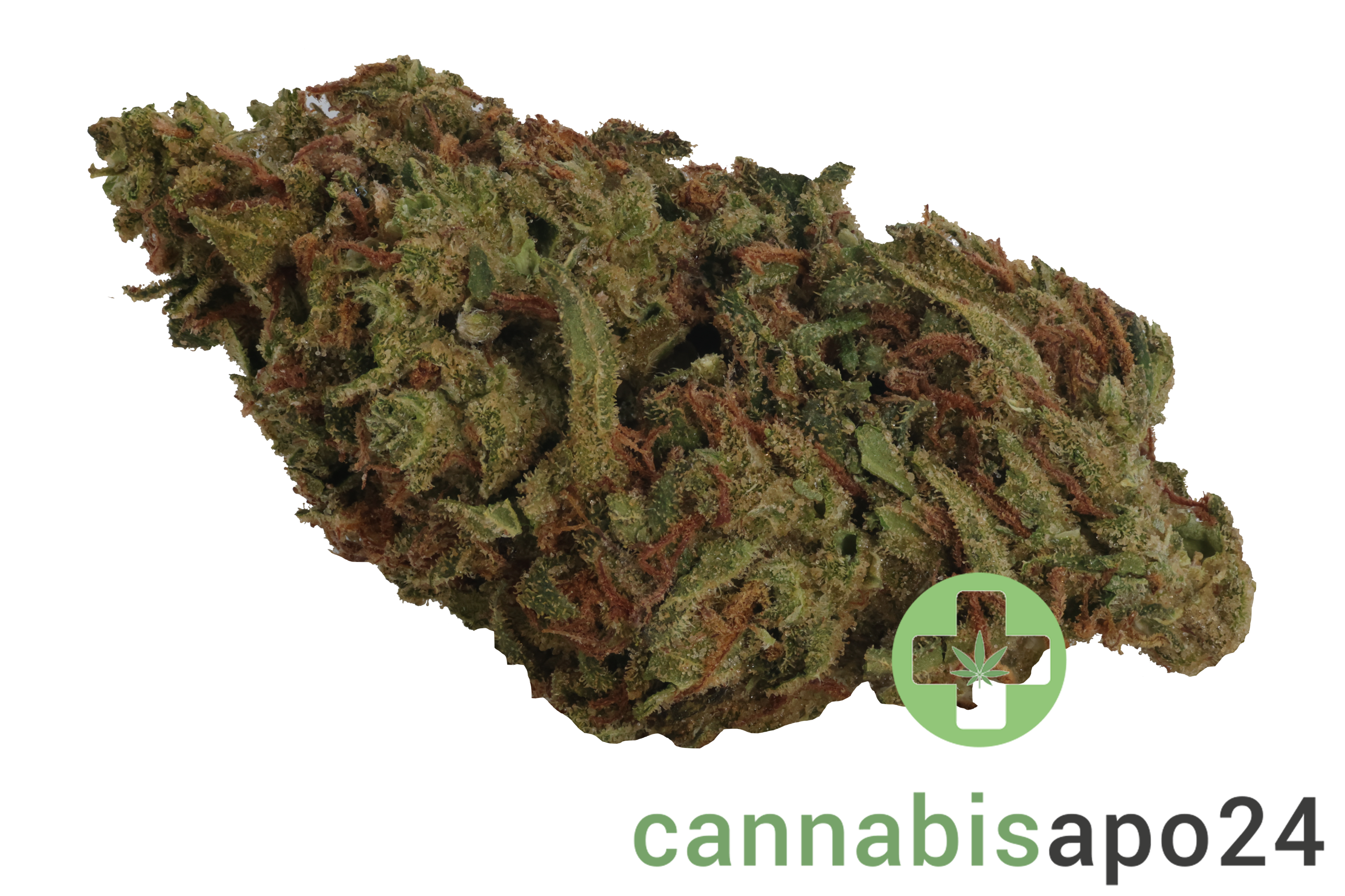 Cannamedical CM 28/1 OG Kush - Cannabisapo24