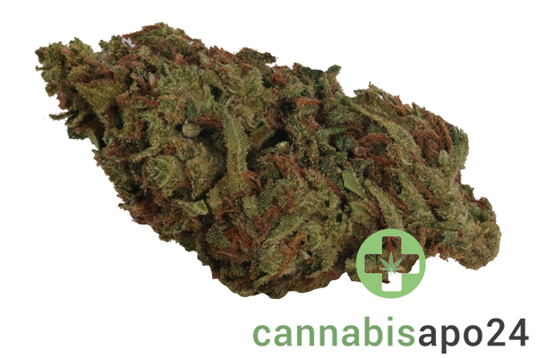 CM 28/1 OG Kush