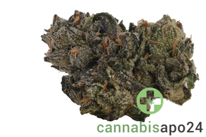 28/1 CM Craft Lotus - Midnight Lotus