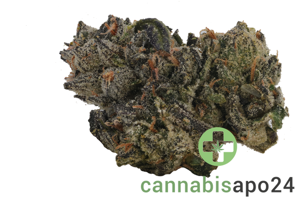 28/1 CM Craft Lotus - Midnight Lotus