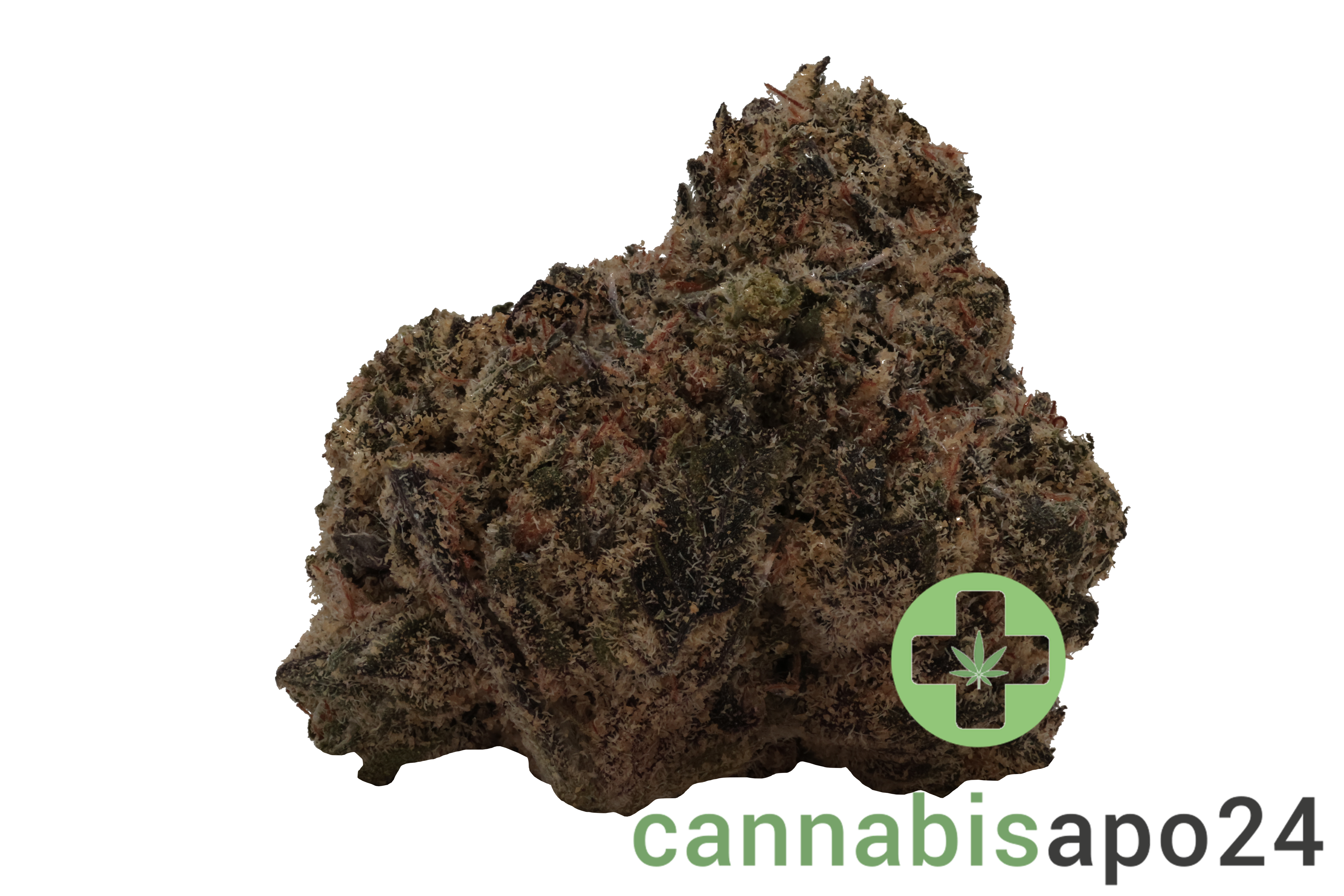 CNBS BLRZ 23/1 Blue R.I.T.Z.