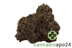 CNBS BLRZ 23/1 Blue R.I.T.Z.