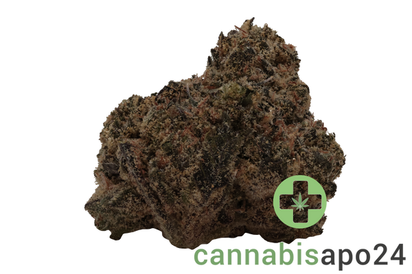 CNBS BLRZ 23/1 Blue R.I.T.Z.