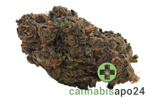 Cookies 2.0 Blueberry Bananas 26/1