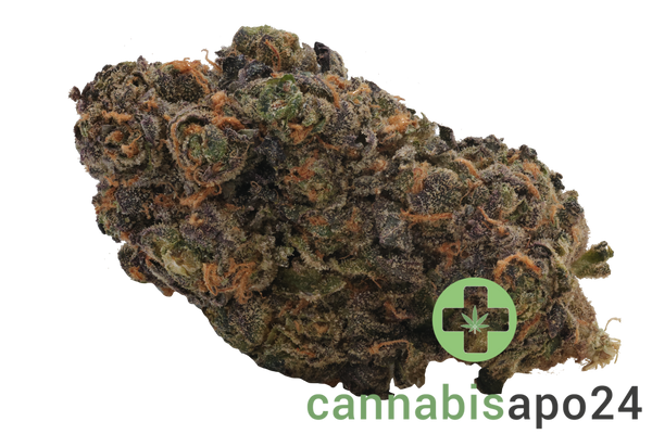 Cookies 2.0 Blueberry Bananas 26/1