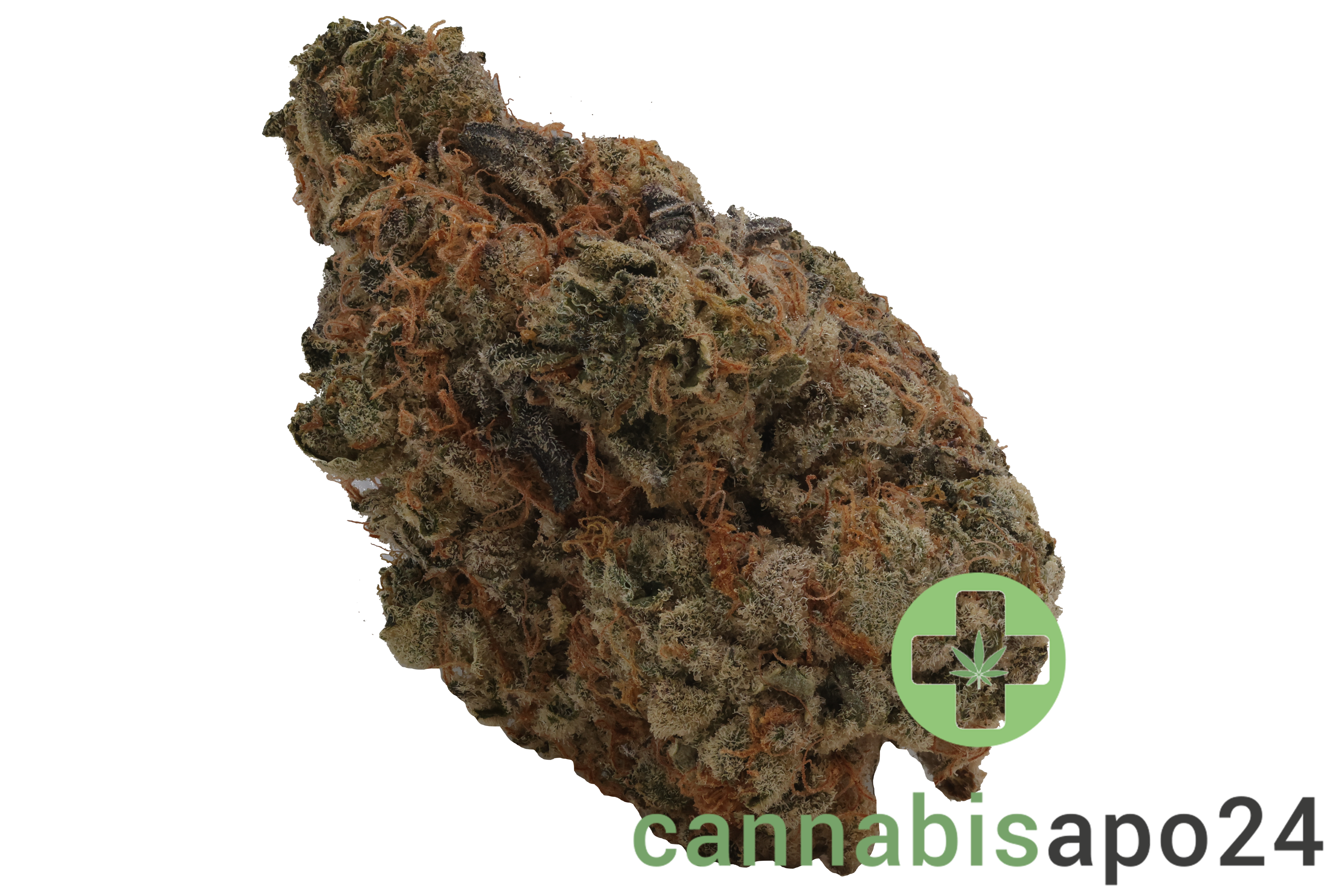 Cookies 2.0 Bubblegumz 28/1