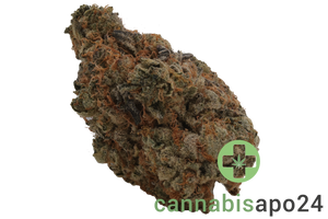 Cookies 2.0 Bubblegumz 28/1