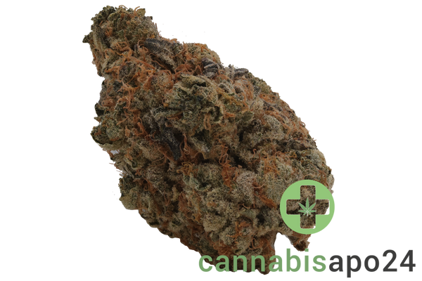 Cookies 2.0 Bubblegumz 28/1