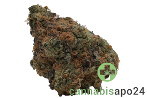 Cookies 2.0 Heavy Eyes 31/1