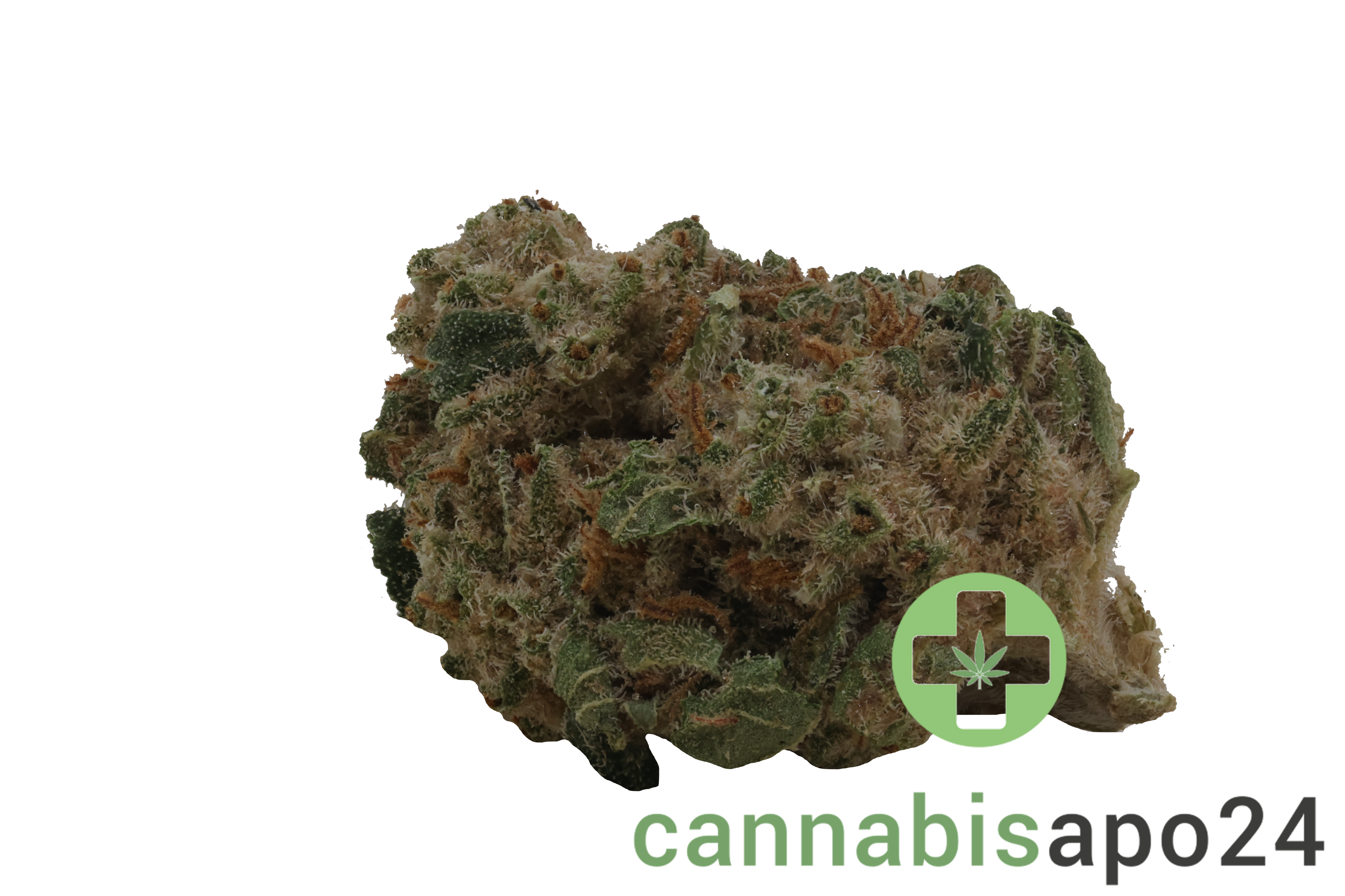 Coyote Valley 24/1 GRG Grizzly Glue
