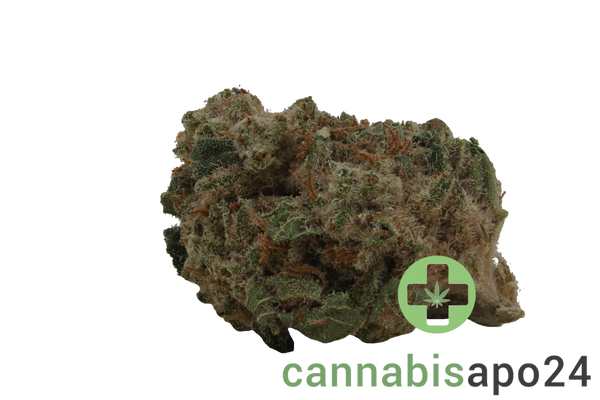 Coyote Valley 24/1 GRG Grizzly Glue