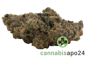 Craft Kings 27/1 BPI Banana Pie